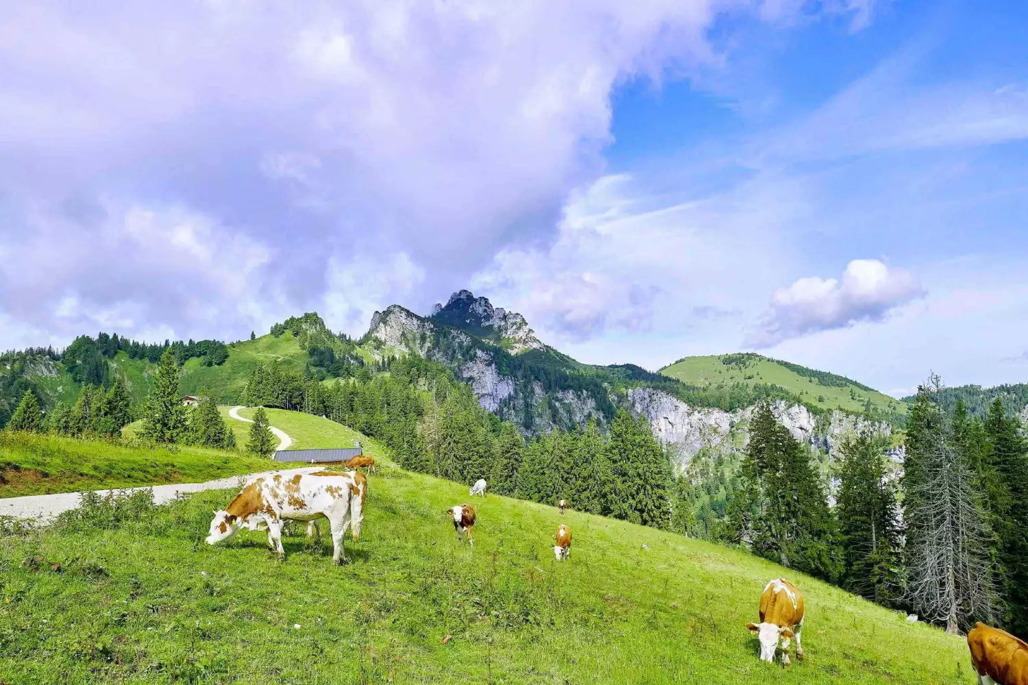 Natur pur genießen in der Bergwelt Oberbayern